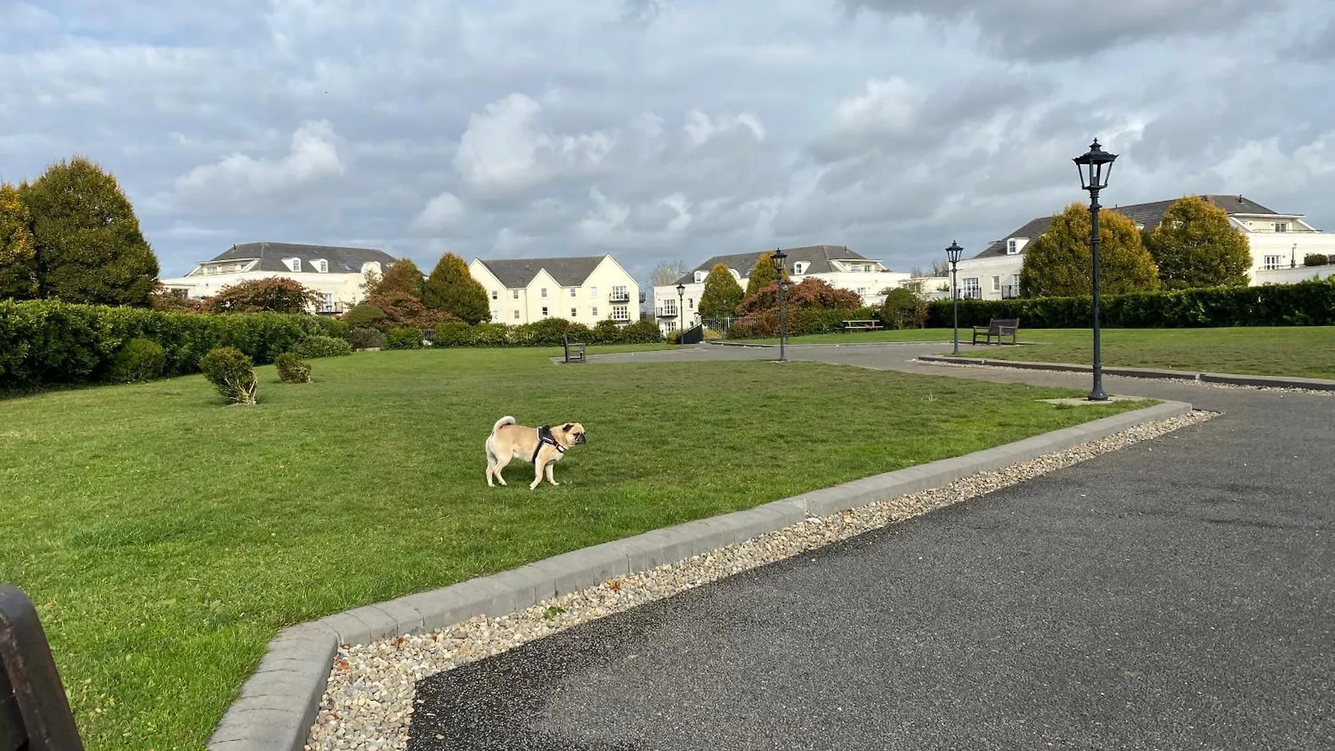 홈스테이 Comfy Apartment Near Dublin Airport With Free Parking