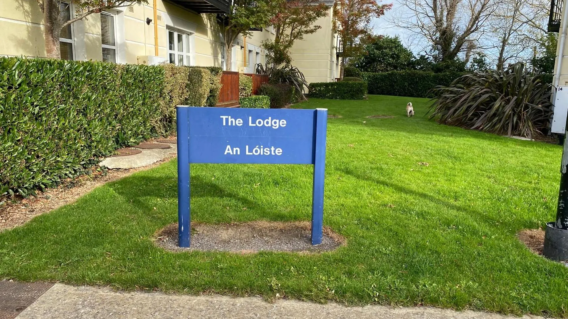 Comfy Apartment Near Dublin Airport With Free Parking 홈스테이